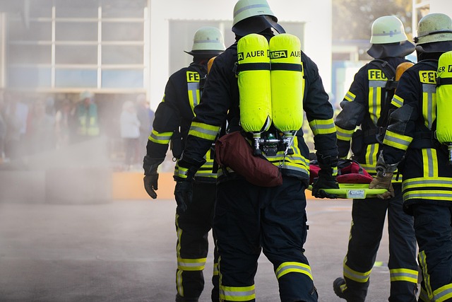Odkrywanie Systemów Asekuracji: Poradnik dla Początkujących